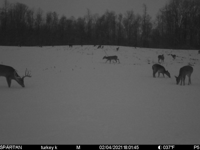 Blue Rd Mount Mount Vernon, OH 43050 - Photo 22 of 23 Gallery Image 22