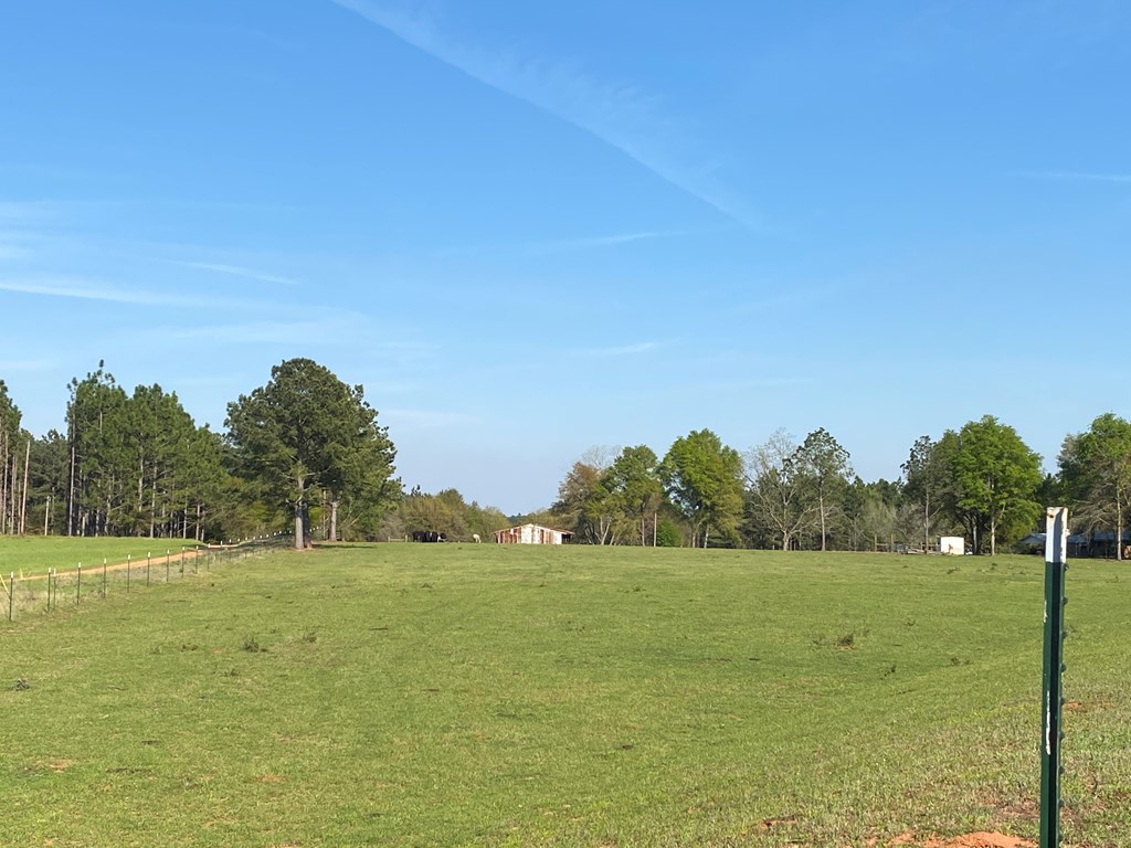 0 Co Road Abbeville, AL 36310 - Photo 15 of 53