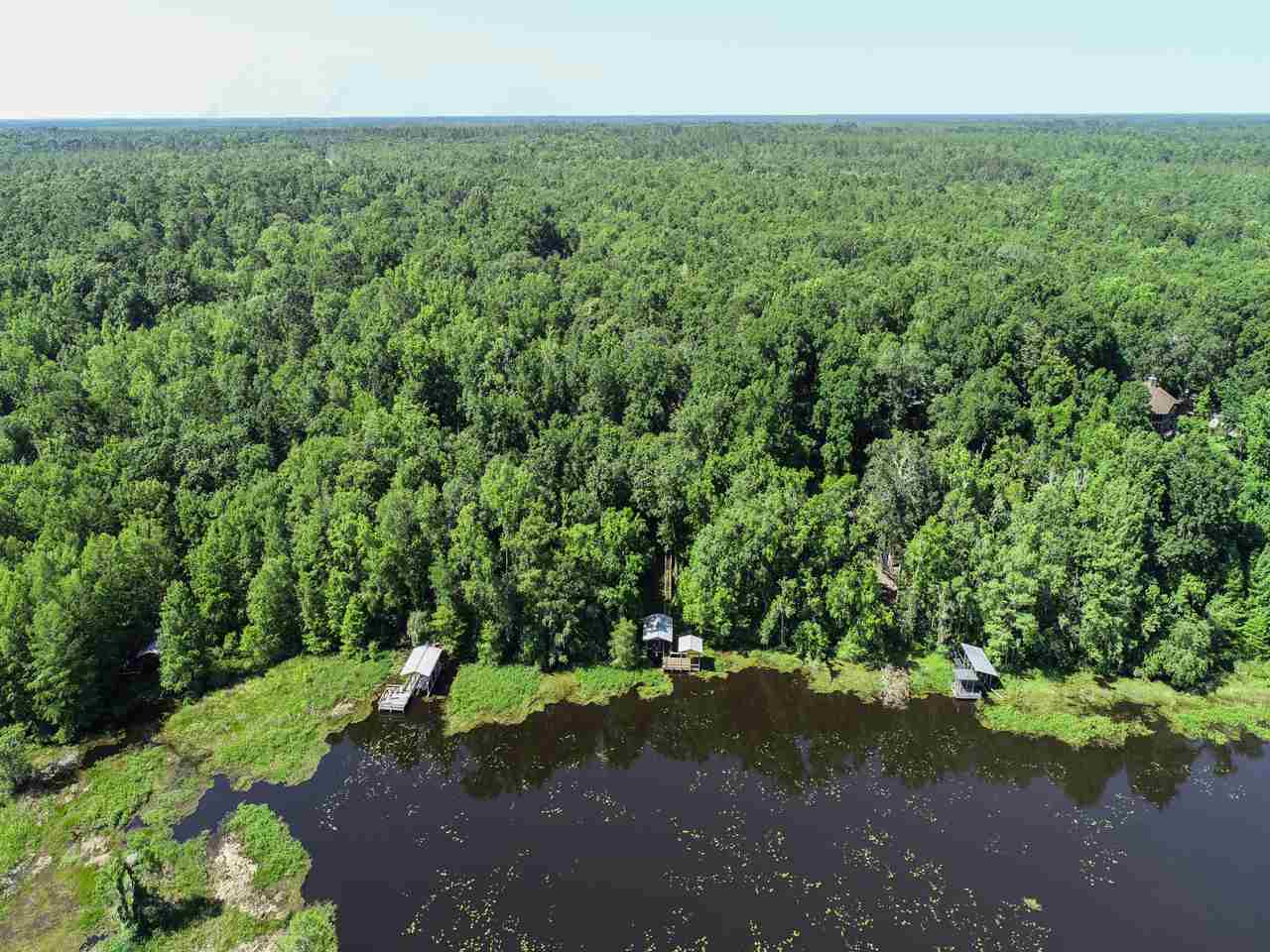 Coes Bluff Road Tallahassee, FL 32310 - Photo 12 of 31 Gallery Image 12