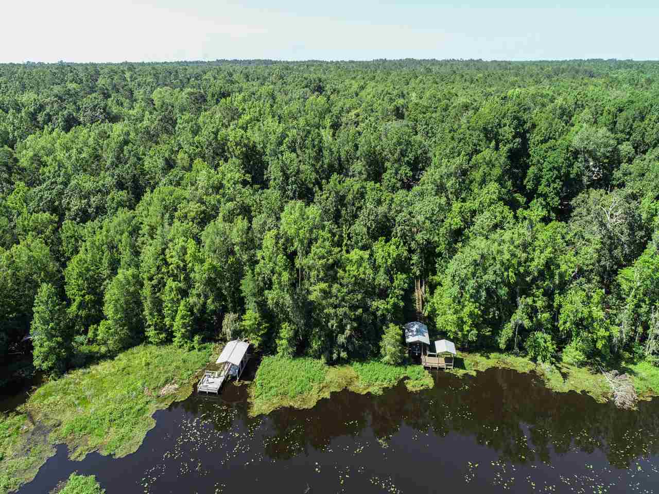 Coes Bluff Road Tallahassee, FL 32310 - Photo 16 of 31 Gallery Image 16