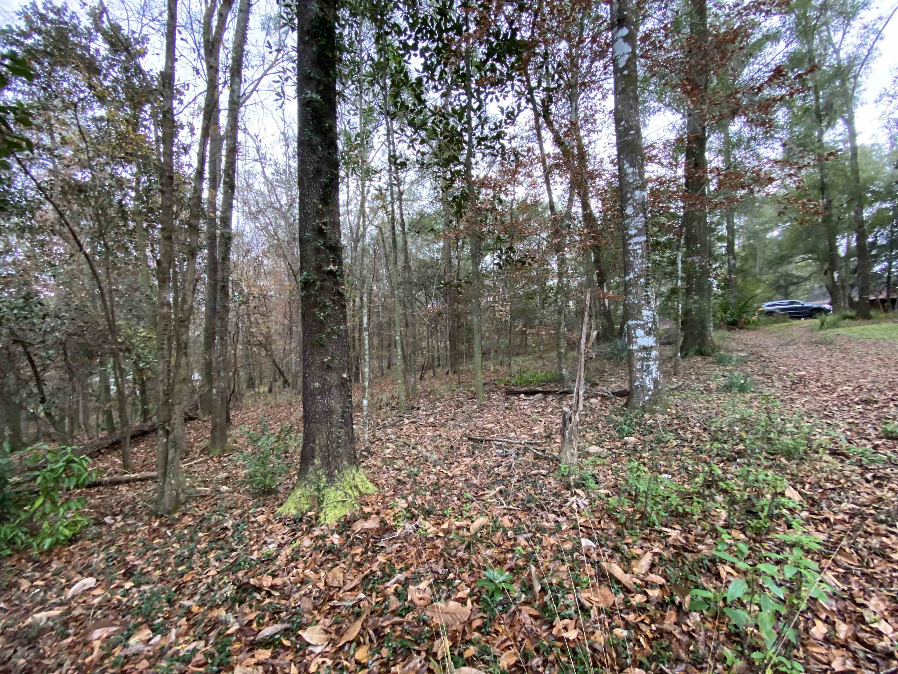 Coes Bluff Road Tallahassee, FL 32310 - Photo 23 of 31 Gallery Image 23