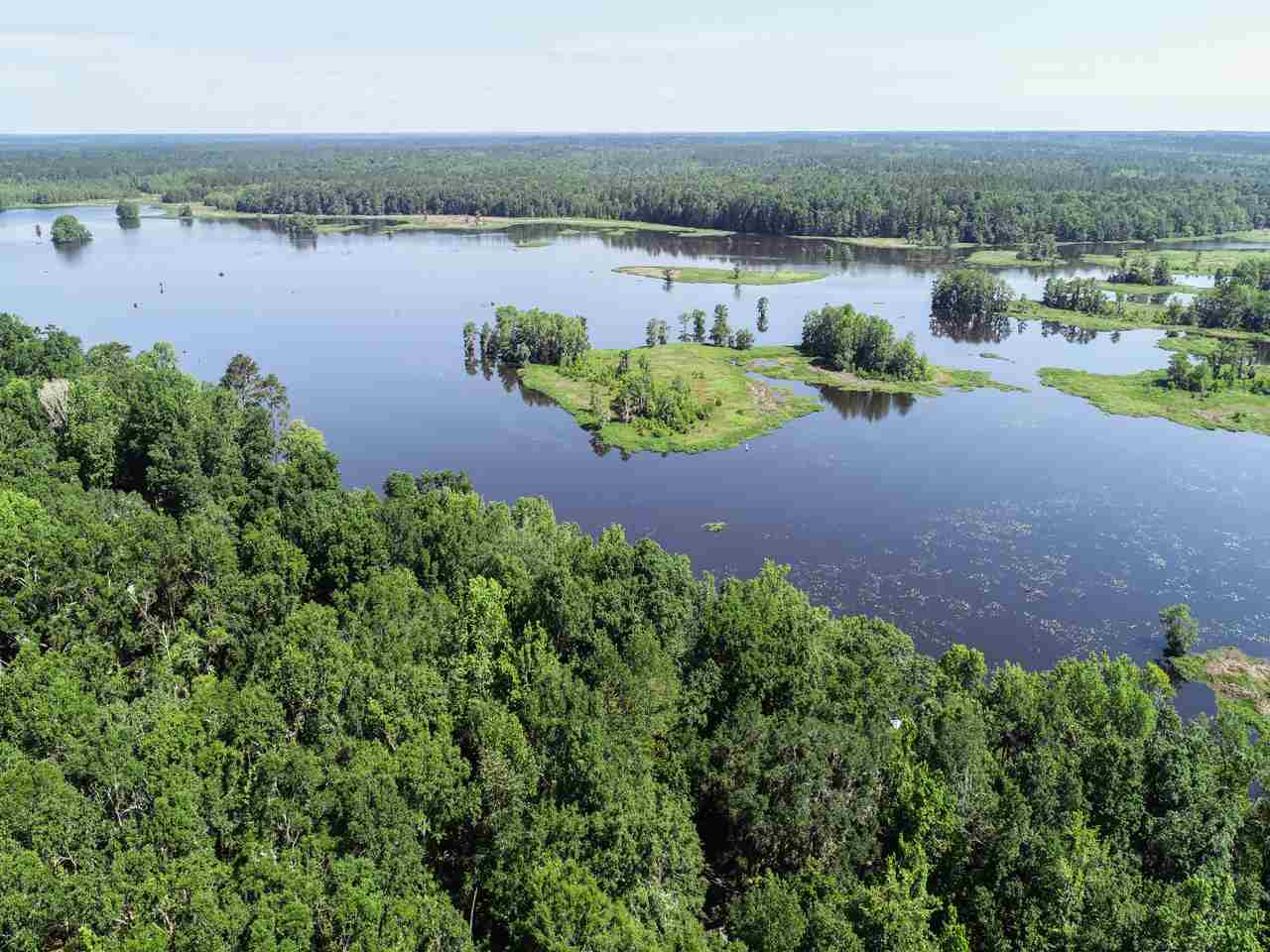 Coes Bluff Road Tallahassee, FL 32310 - Photo 8 of 31 Gallery Image 8