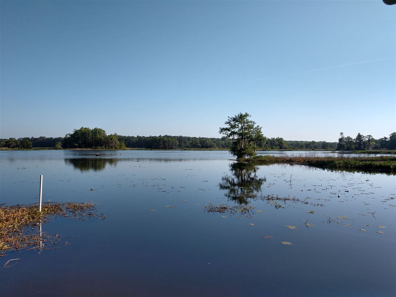 Coes Bluff Road Tallahassee, FL 32310 - Photo 9 of 31 Gallery Image 9