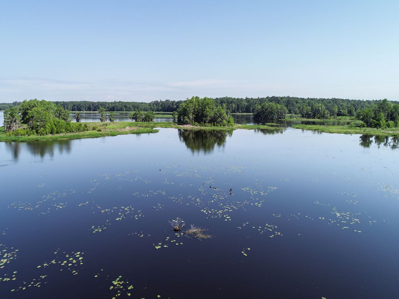 Coes Bluff Road Tallahassee, FL 32310 - Photo 10 of 31 Gallery Image 10