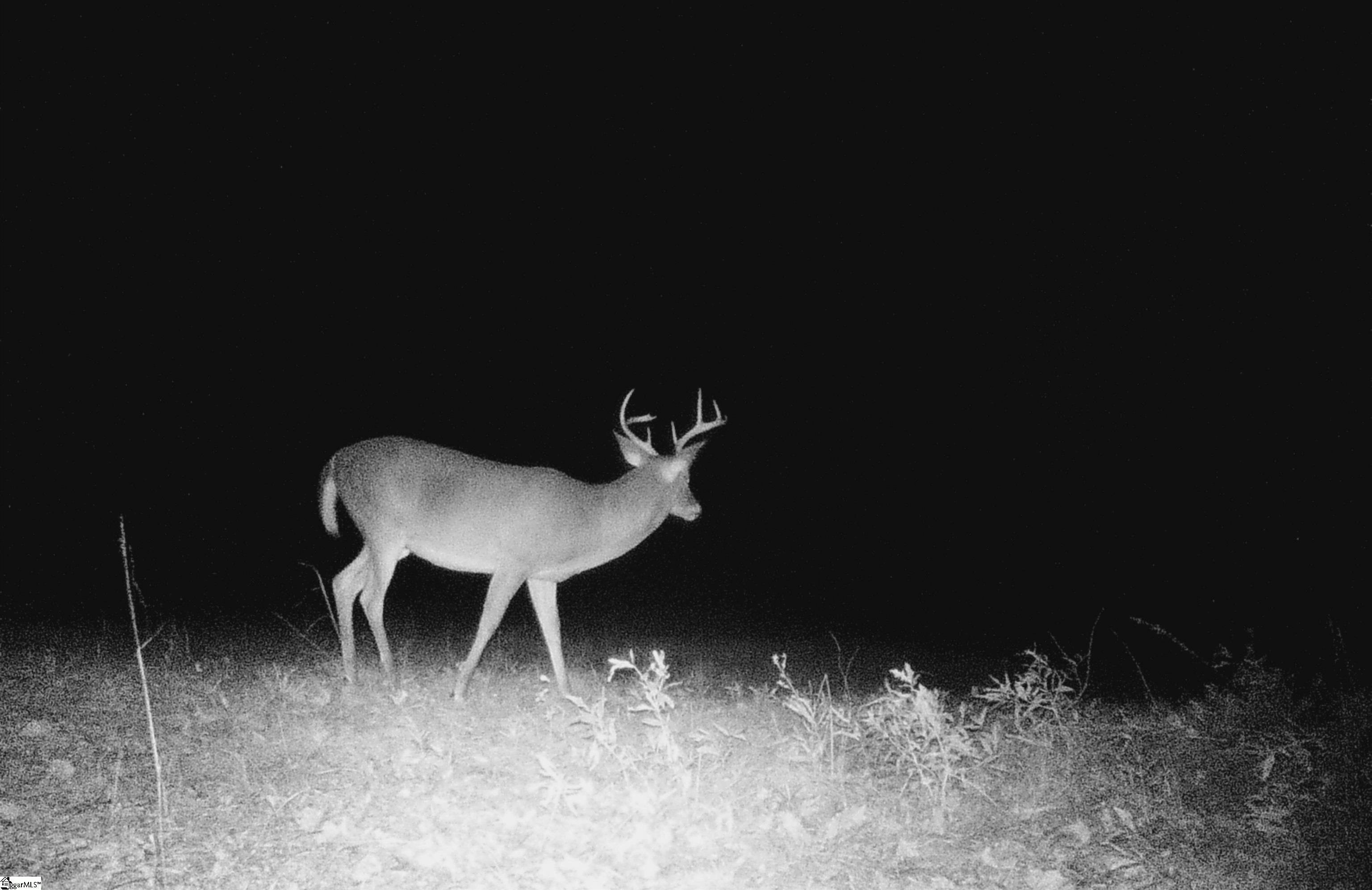 790 Highway 418 Simpsonville, SC 29680 - Photo 29 of 49