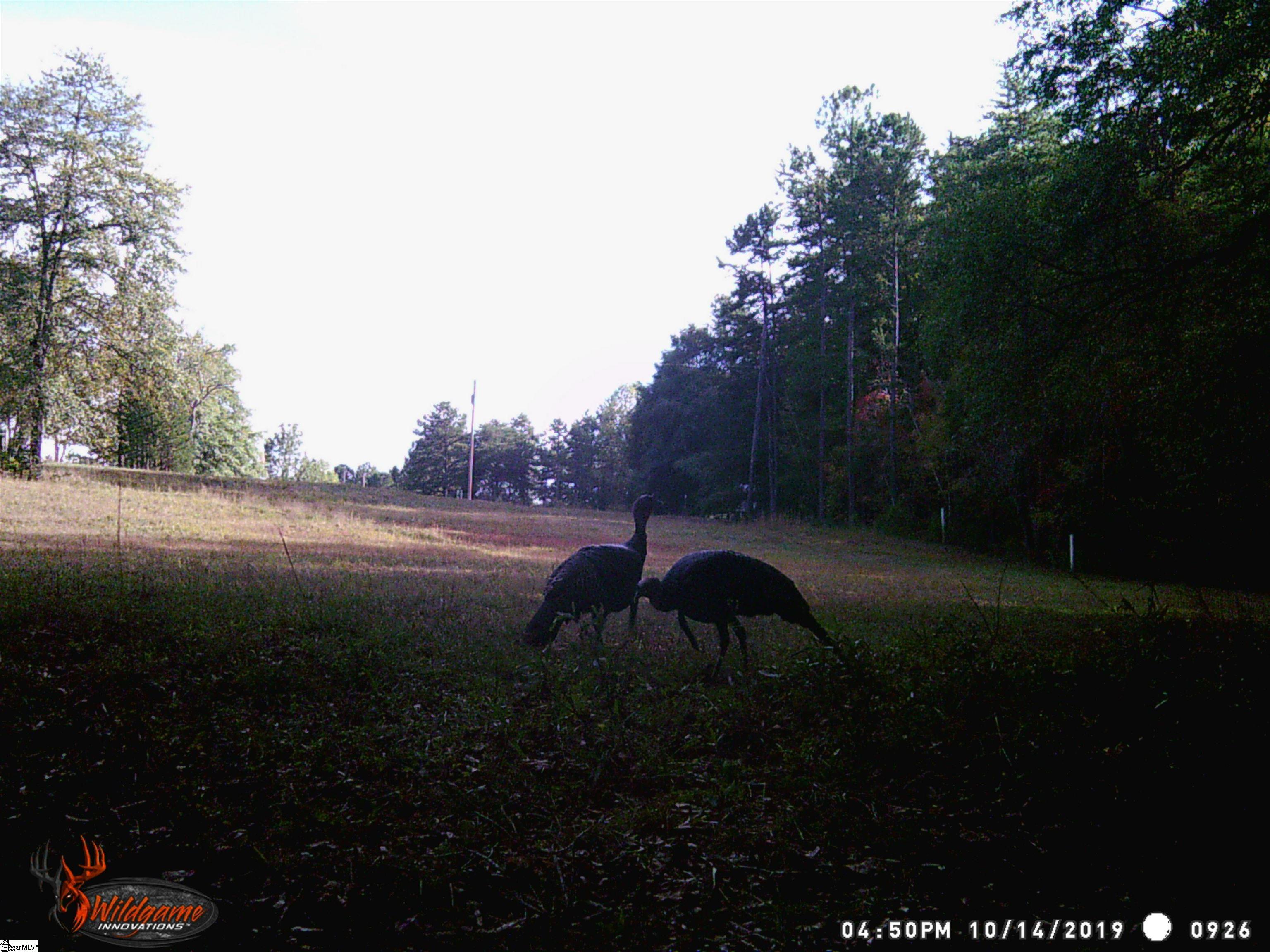 790 Highway 418 Simpsonville, SC 29680 - Photo 30 of 49