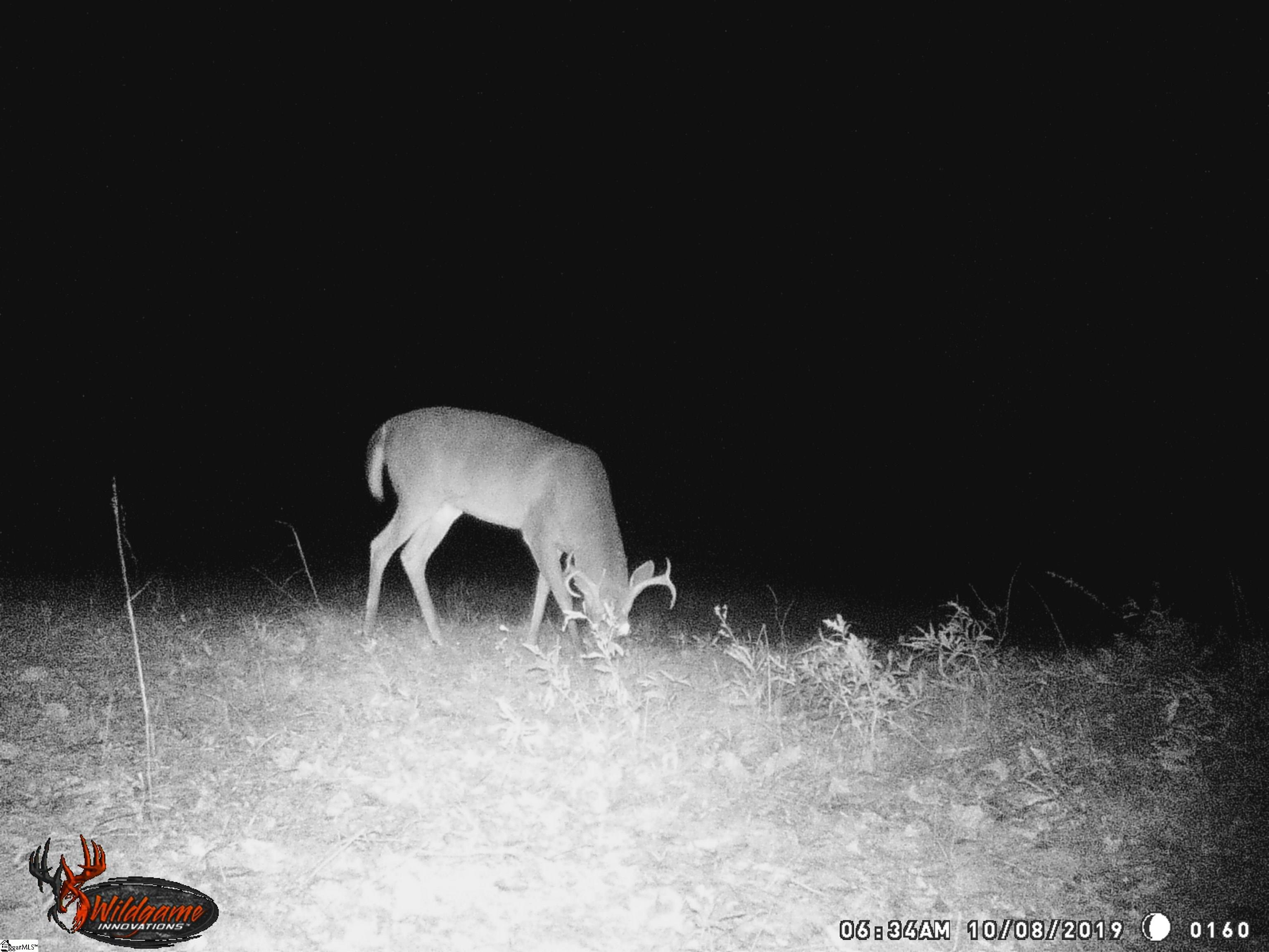 790 Highway 418 Simpsonville, SC 29680 - Photo 31 of 49