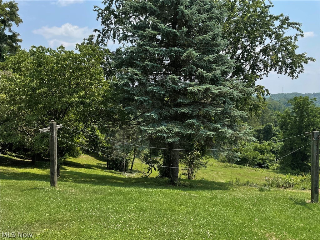 69995 Woods Road Bridgeport, OH 43912 - Photo 25 of 26