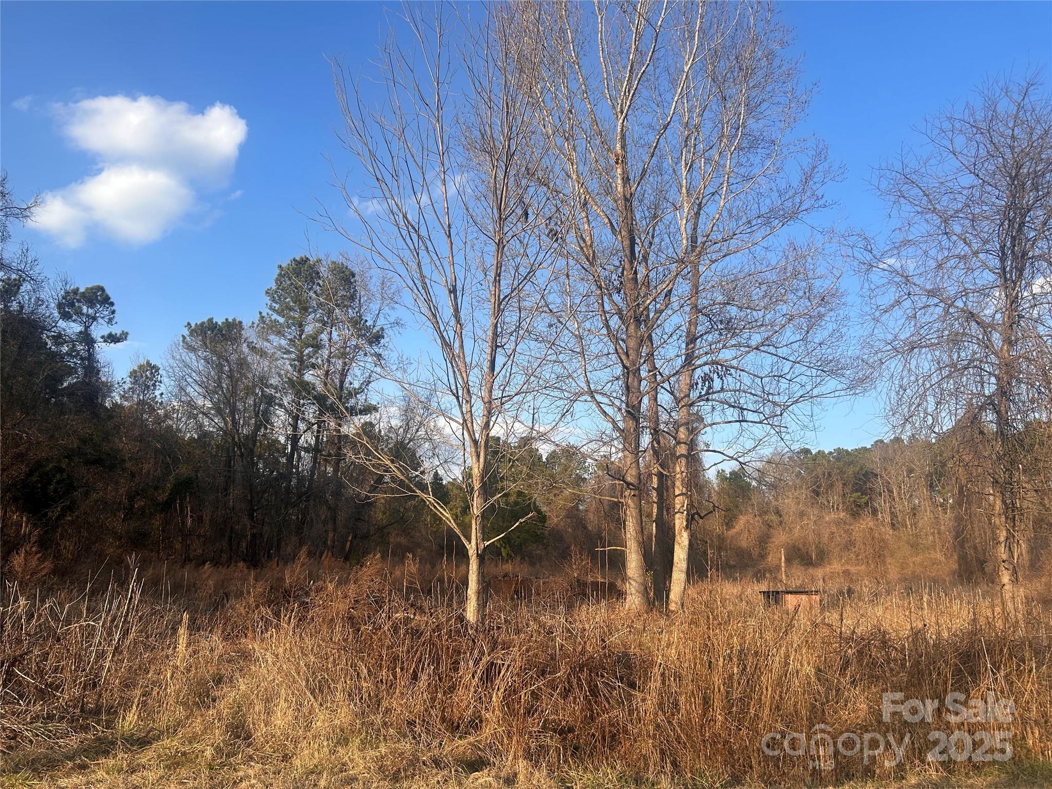 210 Ridge Road, Unit 25 Winnsboro, SC 29180 - Photo 1 of 5