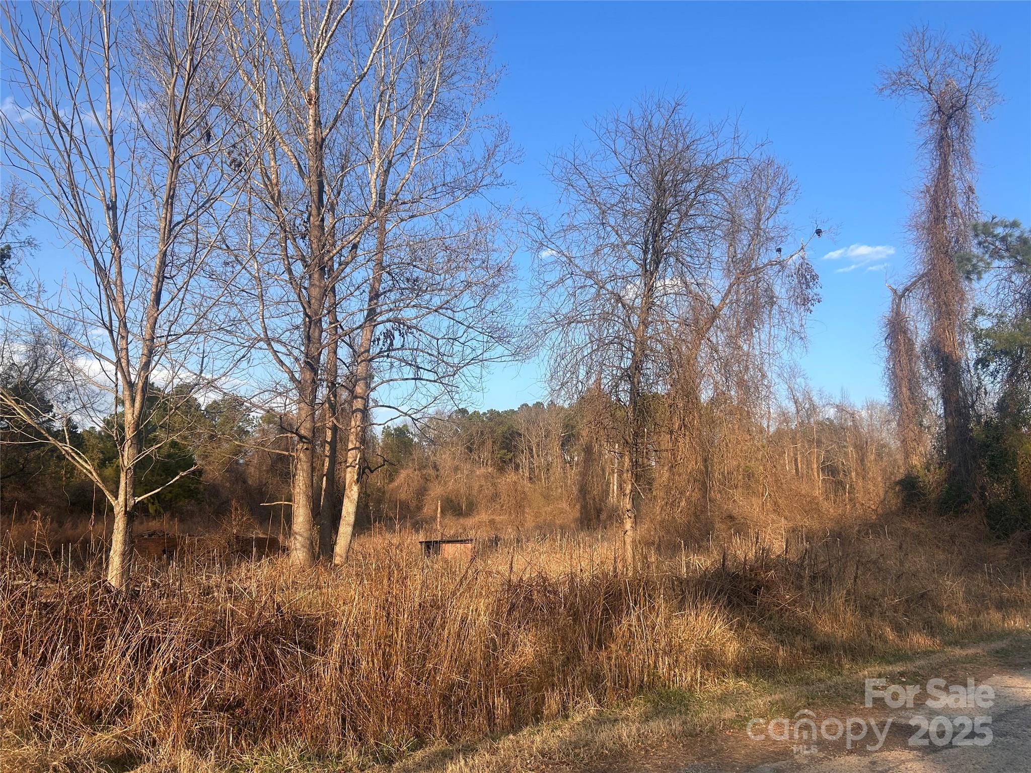 210 Ridge Road, Unit 25 Winnsboro, SC 29180 - Photo 3 of 5