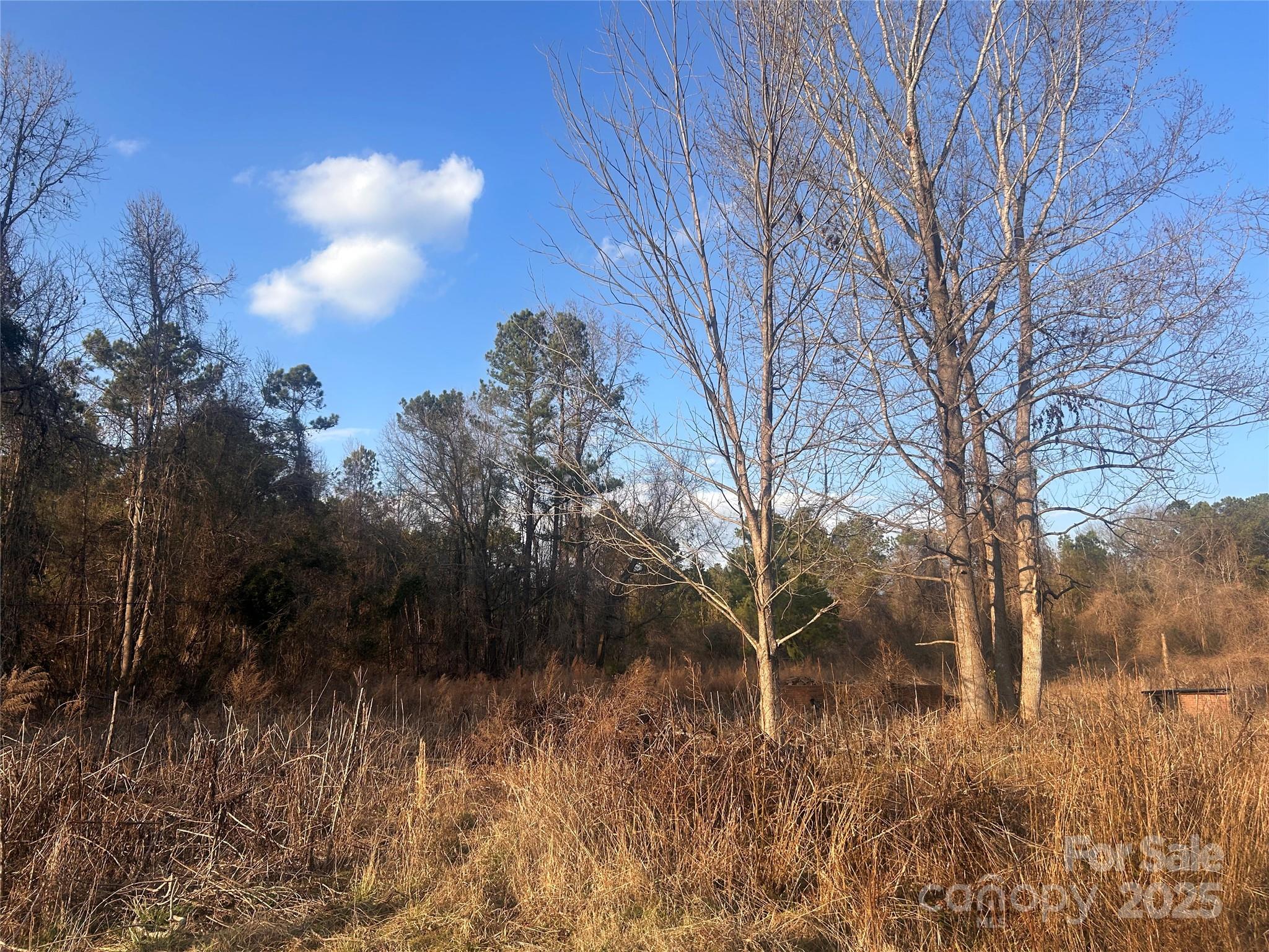 210 Ridge Road, Unit 25 Winnsboro, SC 29180 - Photo 5 of 5