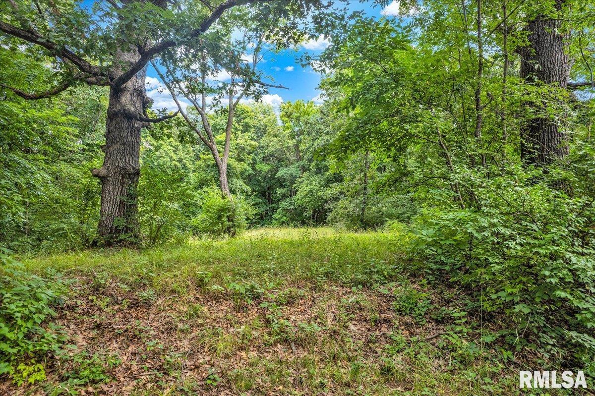 North Ivy Lake Road Chillicothe, IL 61523 - Photo 19 of 27