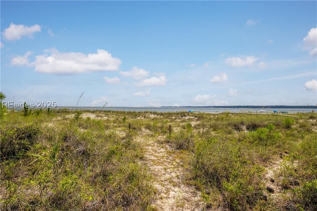 9 Brown Pelican Road Hilton Head Island, SC 29928 - Photo 5 of 21