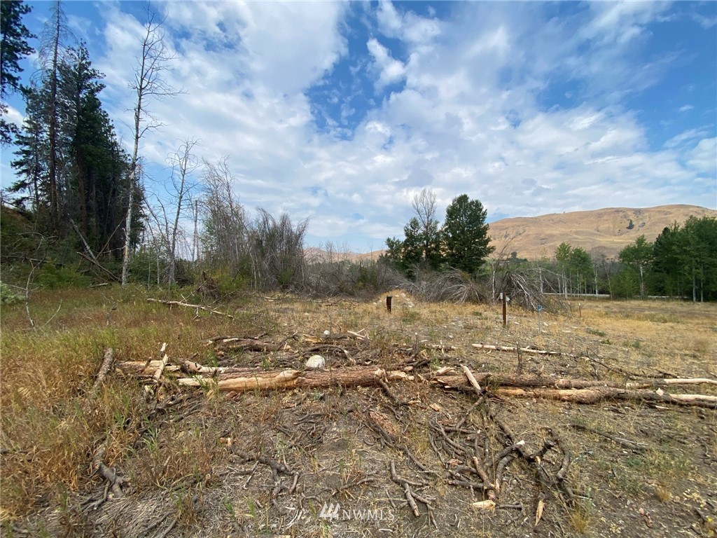 75 Poorman Creek Road Twisp, WA 98856 - Photo 11 of 29 Gallery Image 11