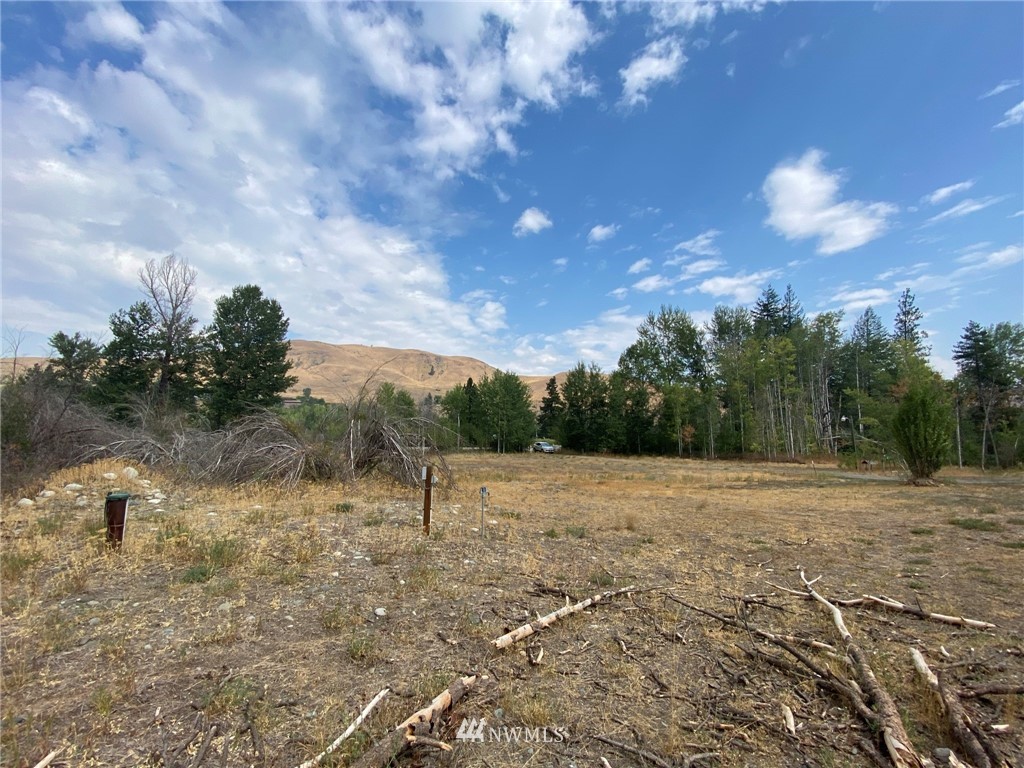 75 Poorman Creek Road Twisp, WA 98856 - Photo 12 of 29 Gallery Image 12