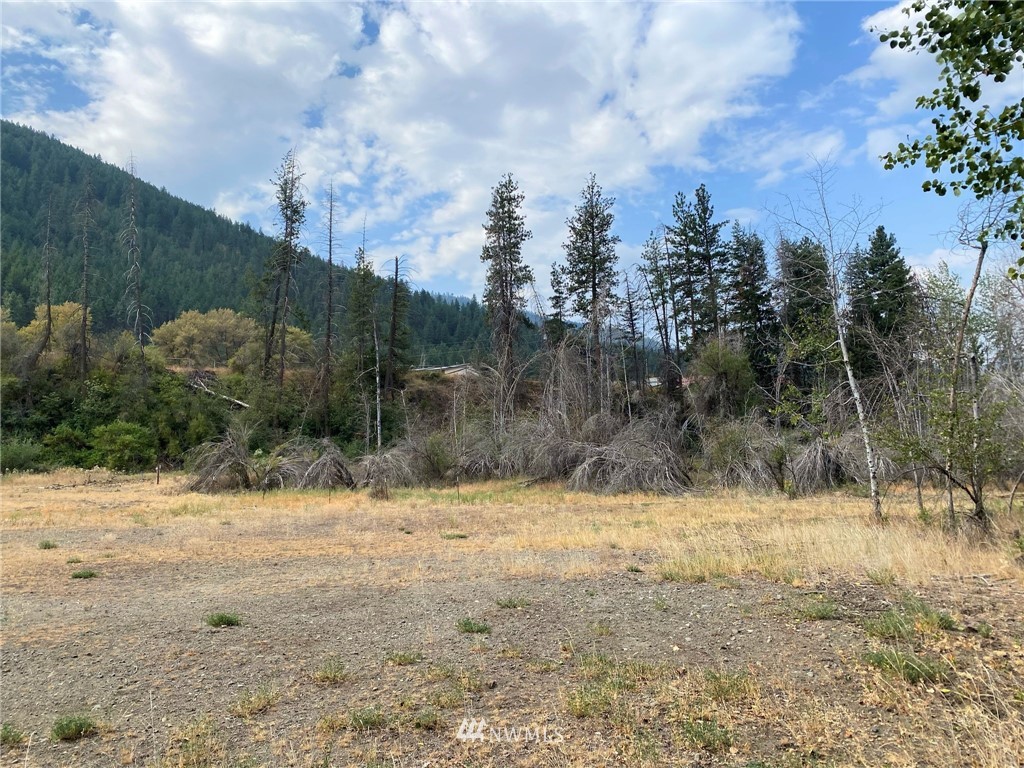 75 Poorman Creek Road Twisp, WA 98856 - Photo 13 of 29 Gallery Image 13