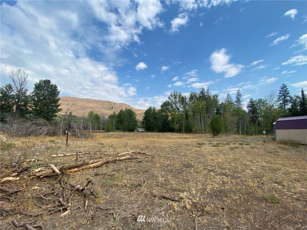 75 Poorman Creek Road Twisp, WA 98856 - Photo 10 of 29 Gallery Image 10