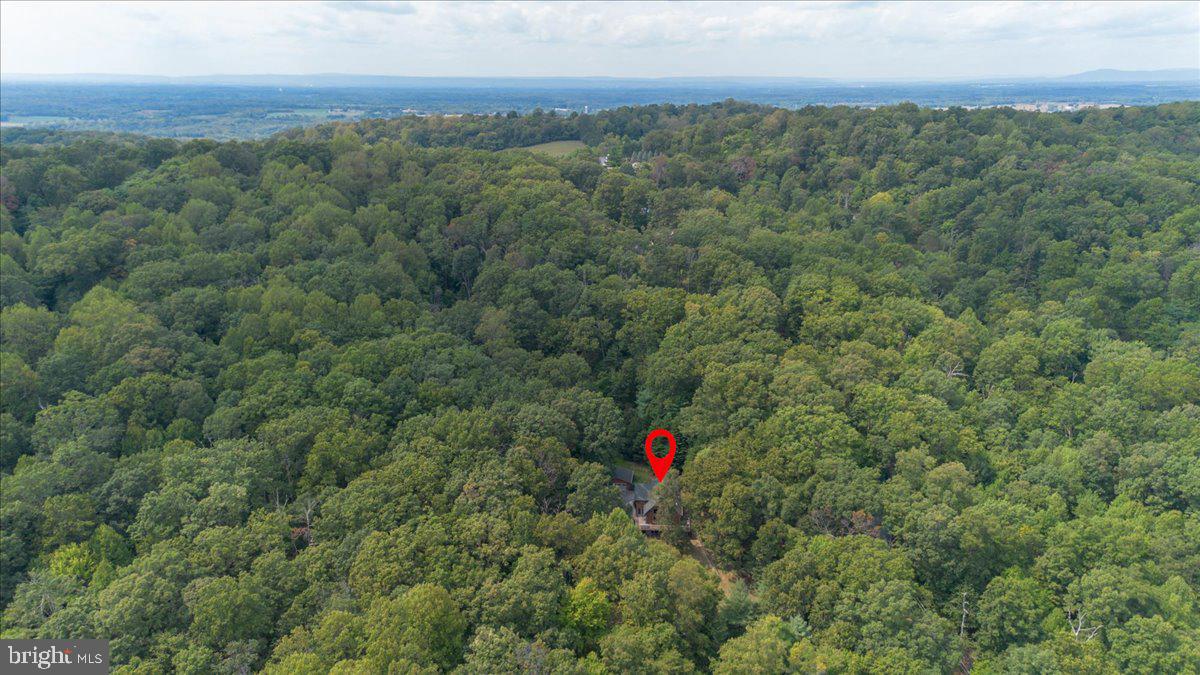 19333 Porterstown Road Keedysville, MD 21756 - Photo 56 of 78