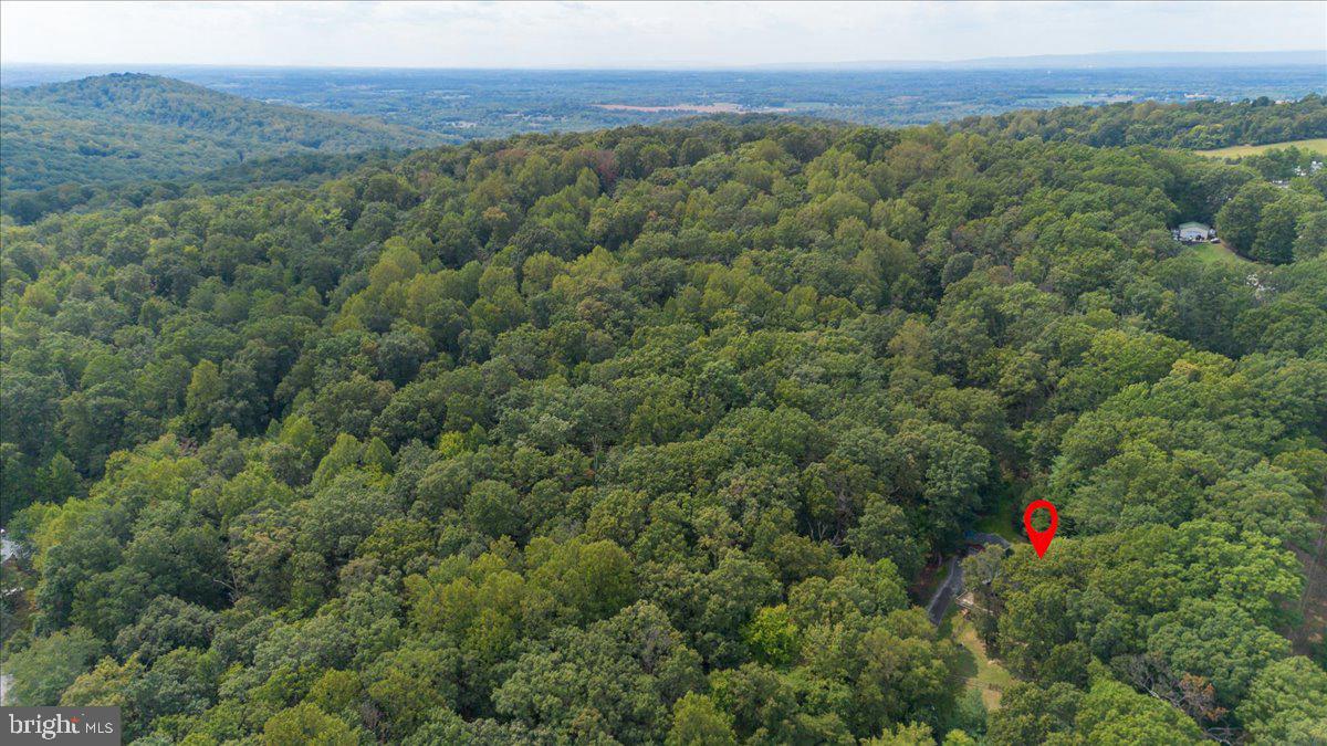 19333 Porterstown Road Keedysville, MD 21756 - Photo 58 of 78