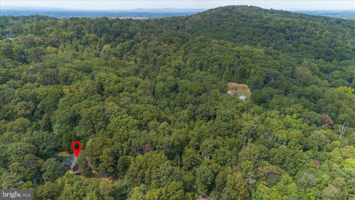 19333 Porterstown Road Keedysville, MD 21756 - Photo 60 of 78