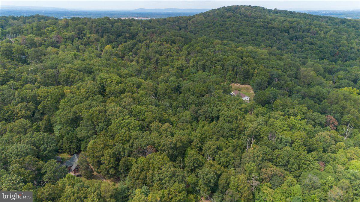 19333 Porterstown Road Keedysville, MD 21756 - Photo 61 of 78