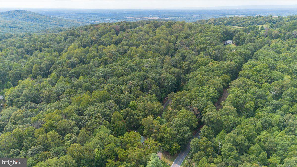 19333 Porterstown Road Keedysville, MD 21756 - Photo 71 of 78