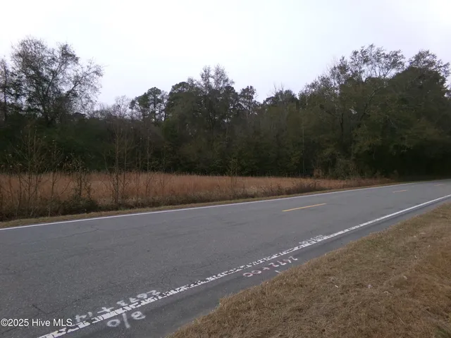 $36,500 | Lot 1 Ivanhoe Road, Harrells, NC 28444