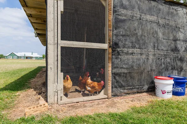 a view of a yard with an outdoor space
