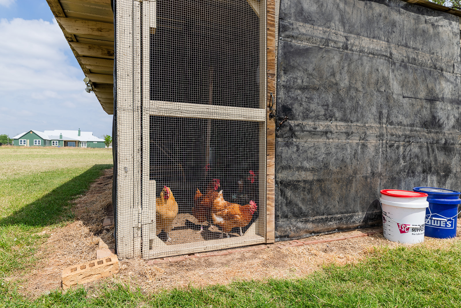 1001 Gravel Pit Road Taylor, TX 76574 - Photo 32 of 40 a backyard of a house with seating space