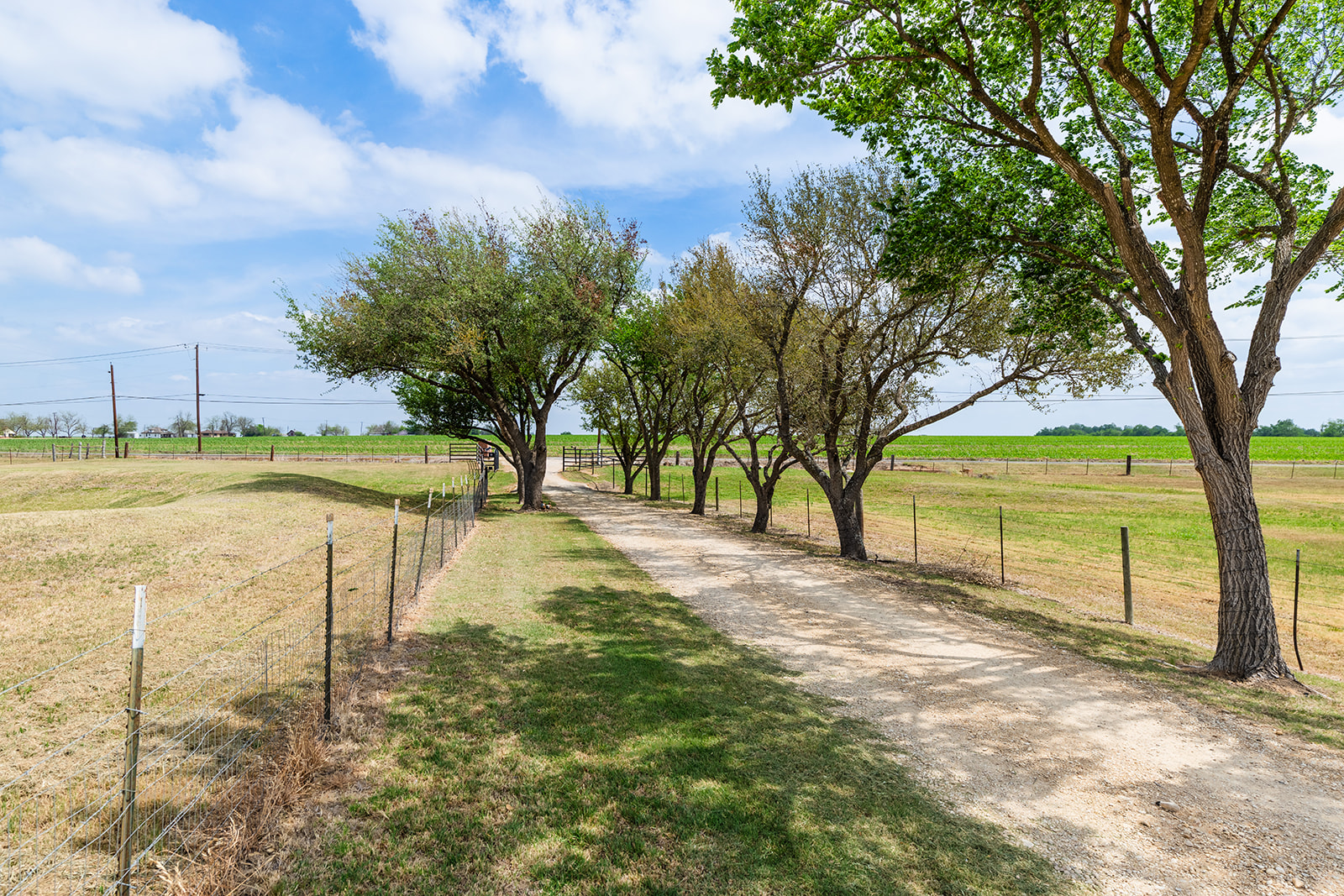 1001 Gravel Pit Road Taylor, TX 76574 - Photo 34 of 40 a view of a yard with an outdoor space