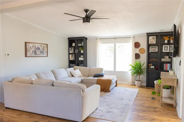 a living room with furniture and a potted plant