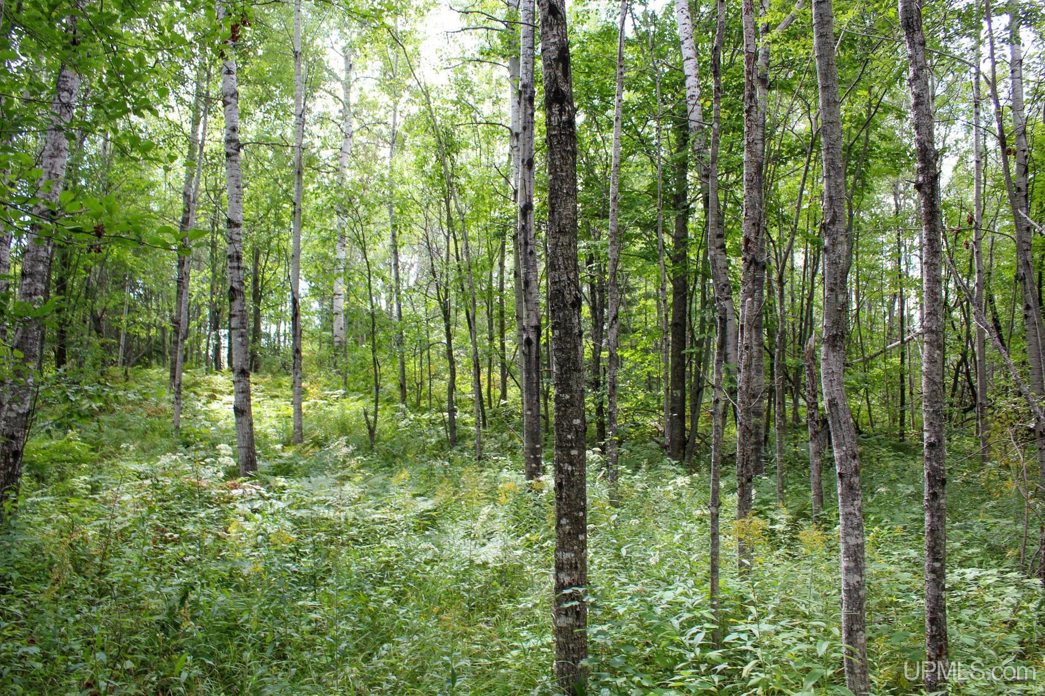 Tbd Michaelson Road Pelkie, MI 49958 - Photo 71 of 73 Gallery Image 71