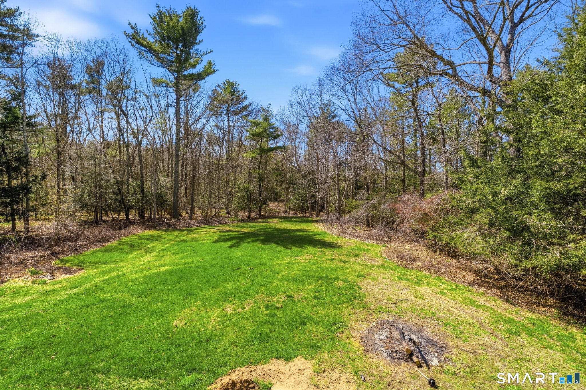 264 Quaddick Town Farm Road Thompson, CT 06277 - Photo 28 of 35 a view of backyard with tree