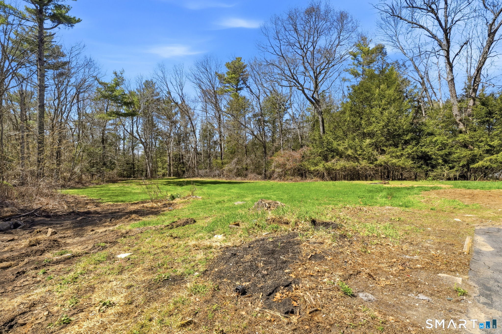 264 Quaddick Town Farm Road Thompson, CT 06277 - Photo 29 of 35 a view of yard with green space
