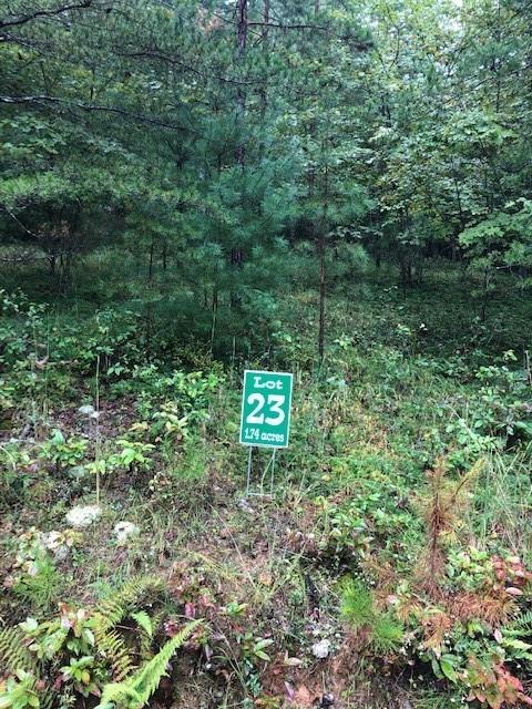 Lot 23 Hunter's Ridge Morganton, GA 30560 - Photo 1 of 1 Gallery Image 1