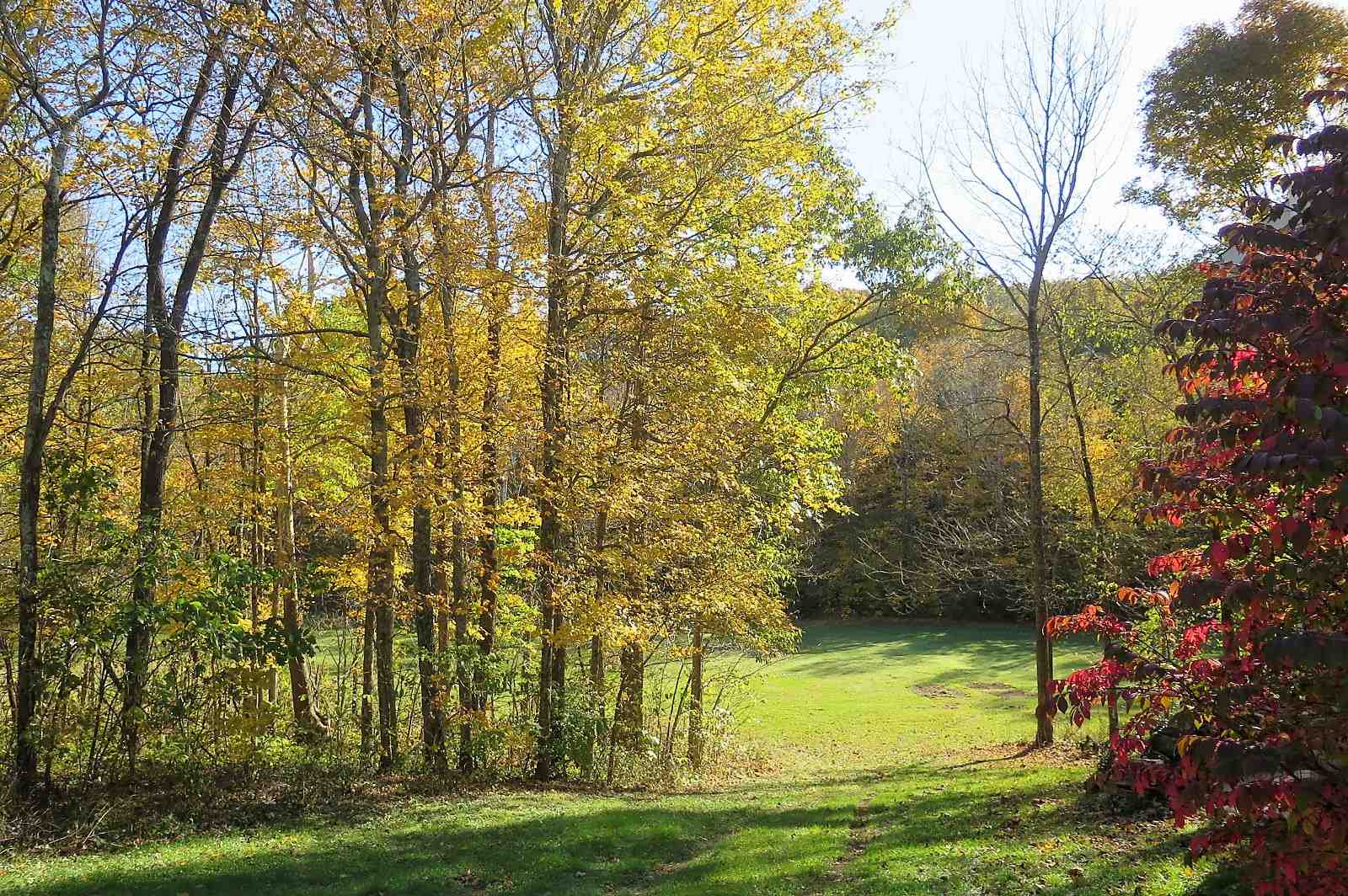 615 Randy Smith Drive Springville, IN 47462 - Photo 3 of 35