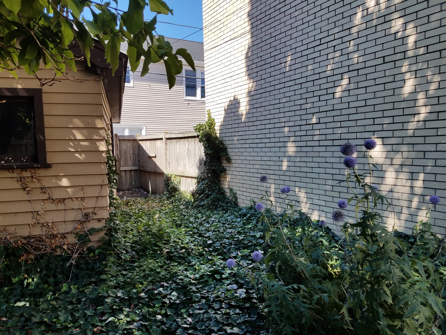 738 West 35th Street Chicago, IL 60608 - Photo 20 of 37