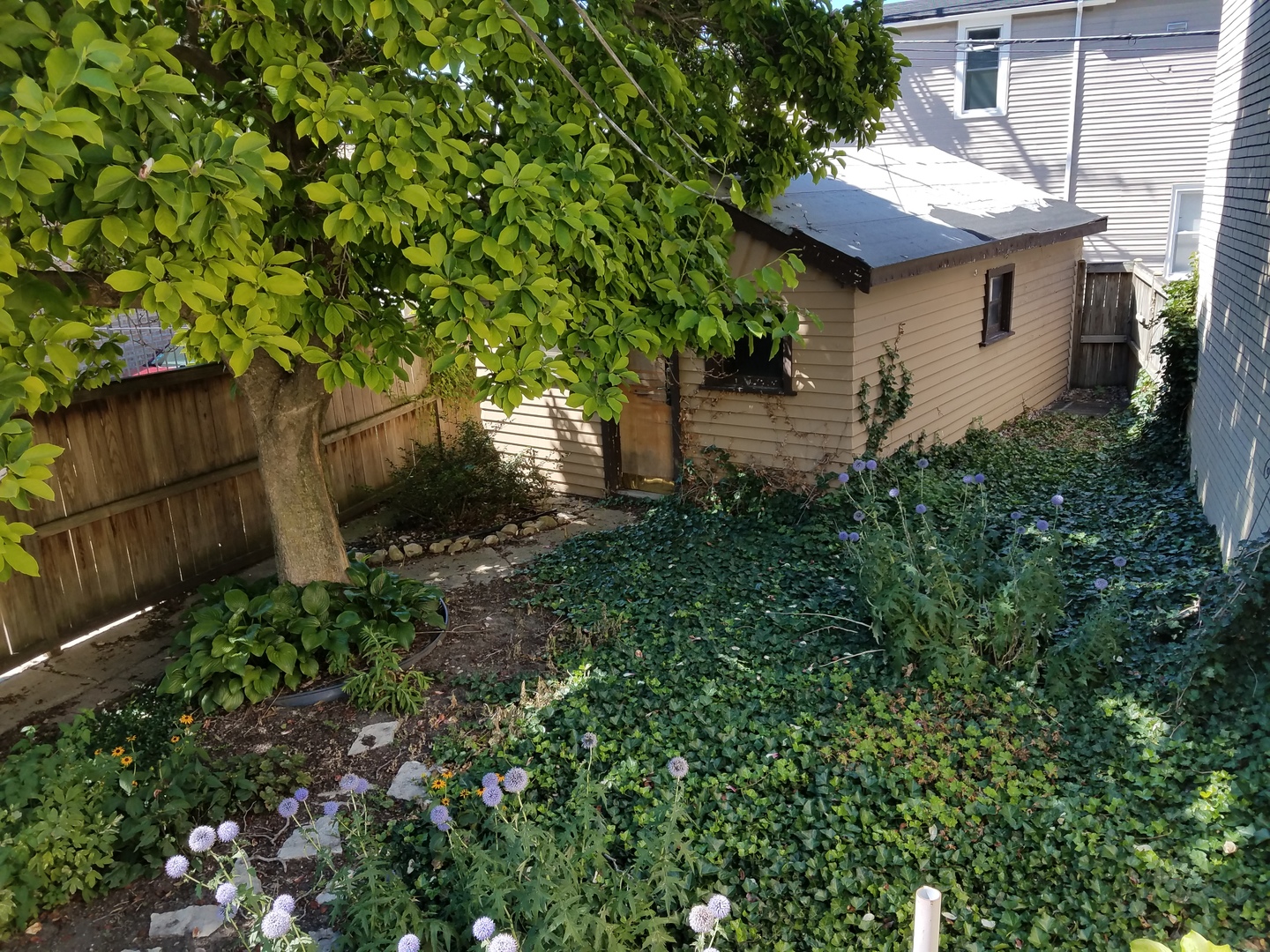 738 West 35th Street Chicago, IL 60608 - Photo 21 of 37