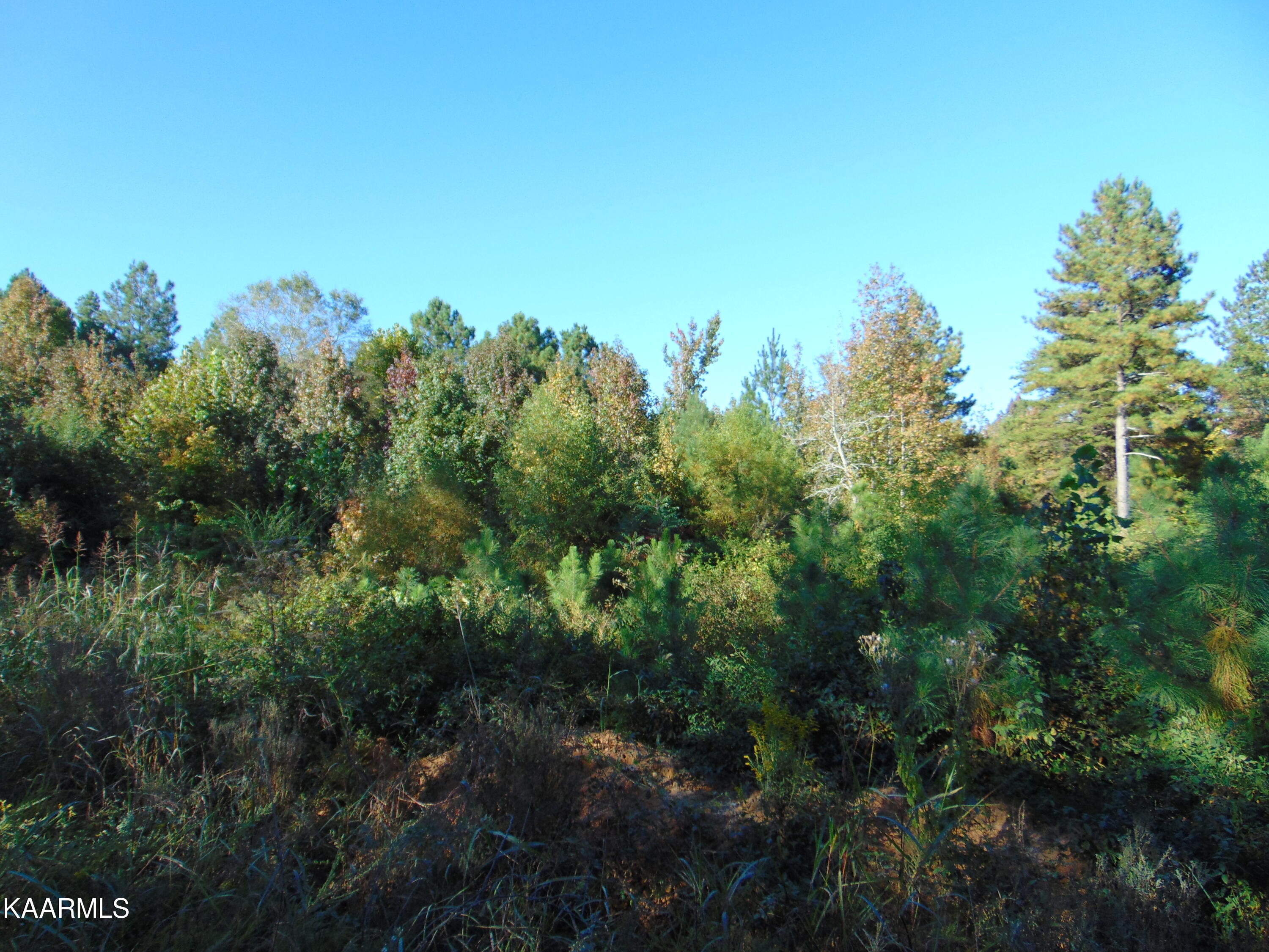 Tract 2-e-1 Tract 2-e-1 Charles Road Decatur, TN 37322 - Photo 5 of 7 DSC01679