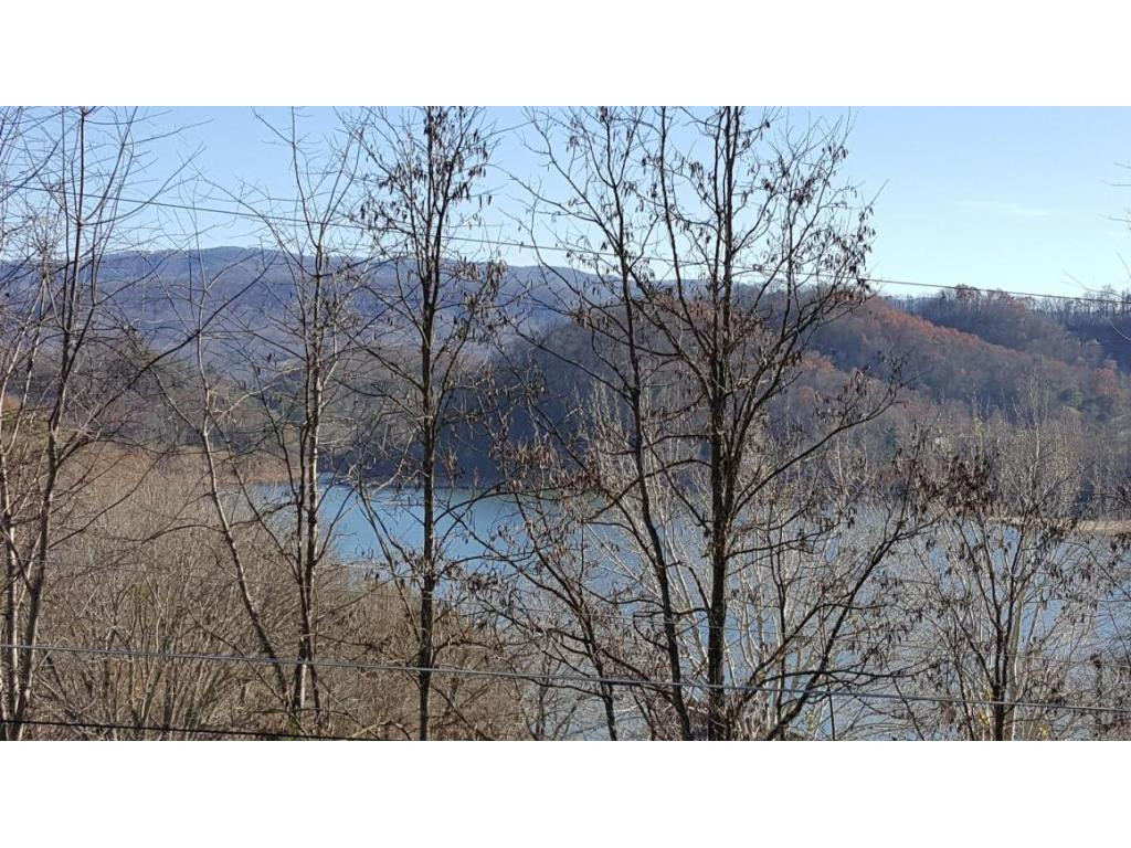 22467 Breezy Point Road Abingdon, VA 24211 - Photo 3 of 11 More Lake Views