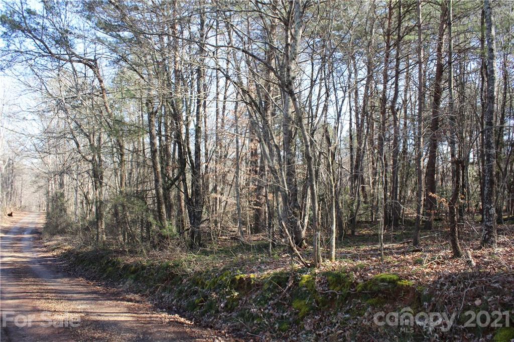 3920 Hidden Acres Road Valdese, NC 28690 - Photo 1 of 19 Gallery Image 1