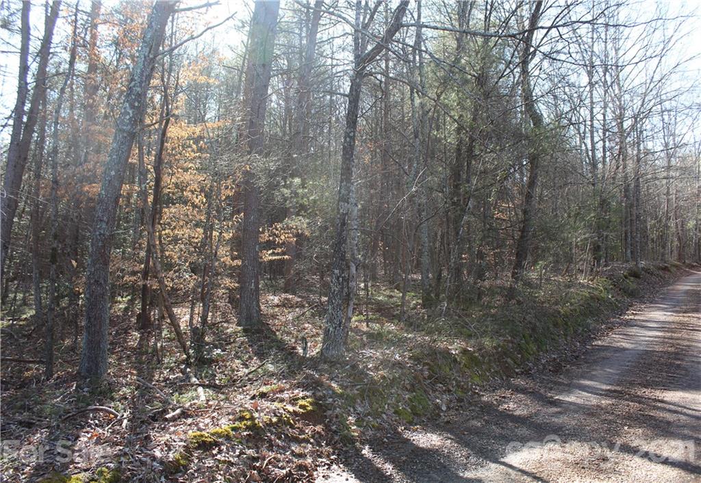 3920 Hidden Acres Road Valdese, NC 28690 - Photo 2 of 19 Gallery Image 2