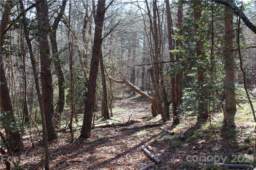 3920 Hidden Acres Road Valdese, NC 28690 - Photo 16 of 19 Gallery Image 16