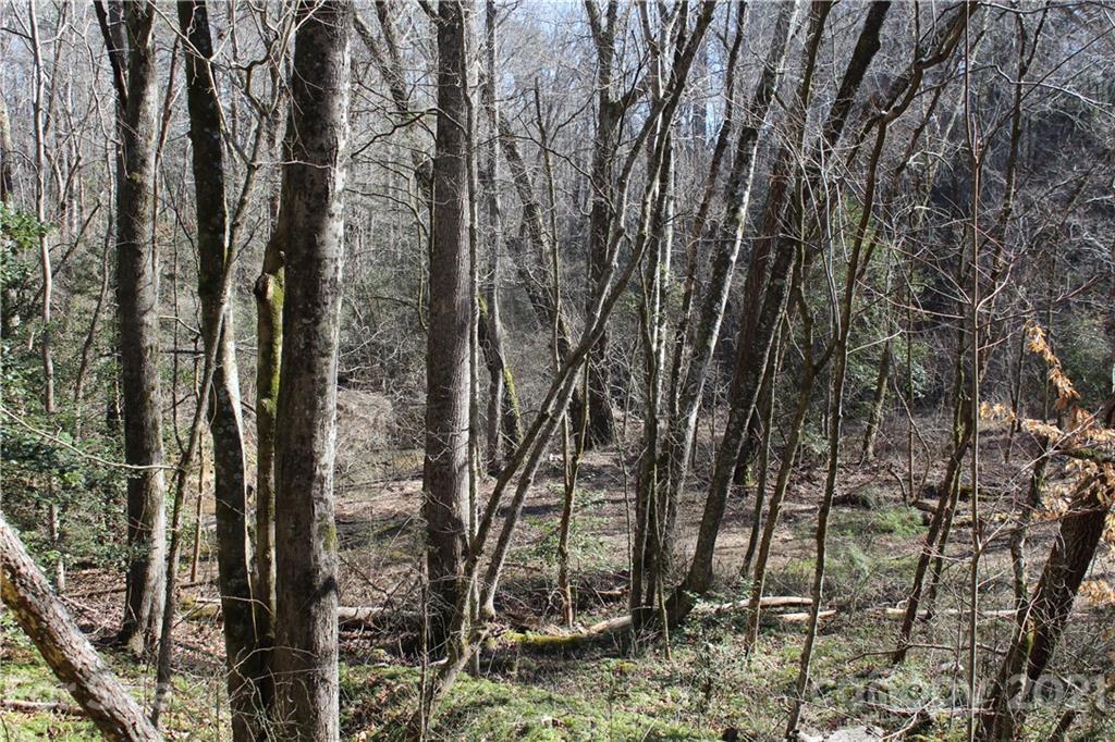 3920 Hidden Acres Road Valdese, NC 28690 - Photo 17 of 19 Gallery Image 17