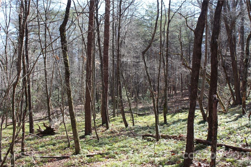 3920 Hidden Acres Road Valdese, NC 28690 - Photo 18 of 19 Gallery Image 18