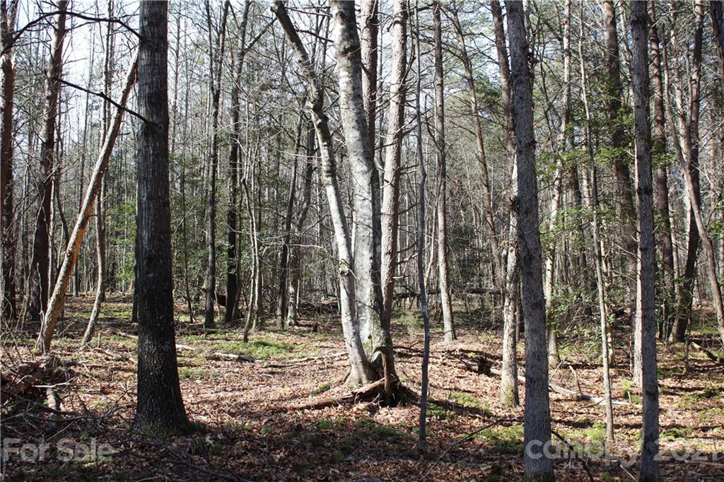 3920 Hidden Acres Road Valdese, NC 28690 - Photo 19 of 19 Gallery Image 19