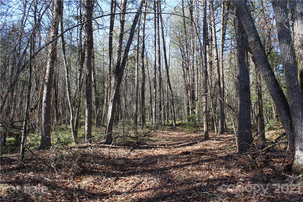 3920 Hidden Acres Road Valdese, NC 28690 - Photo 3 of 19 Gallery Image 3
