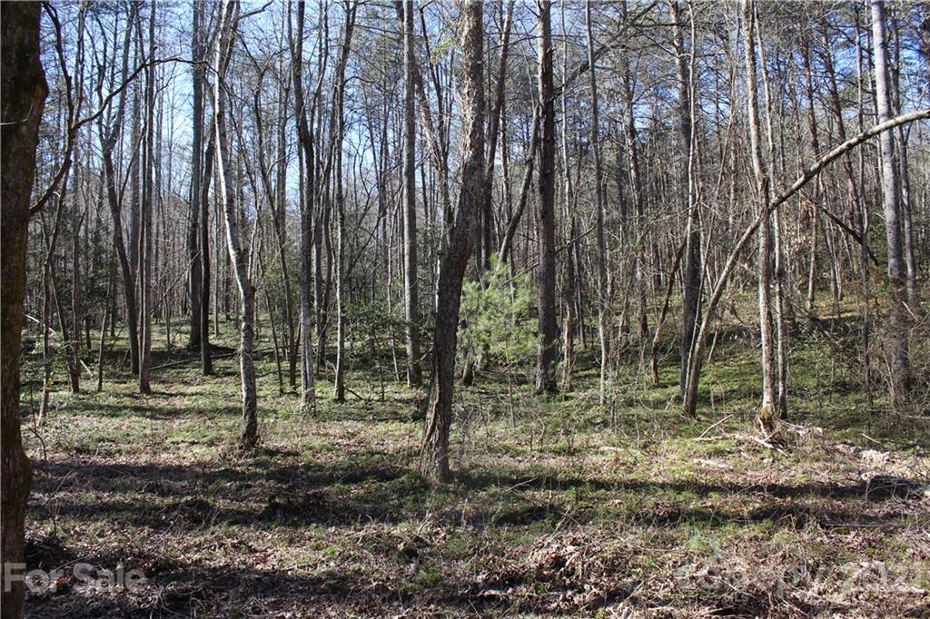 3920 Hidden Acres Road Valdese, NC 28690 - Photo 4 of 19 Gallery Image 4