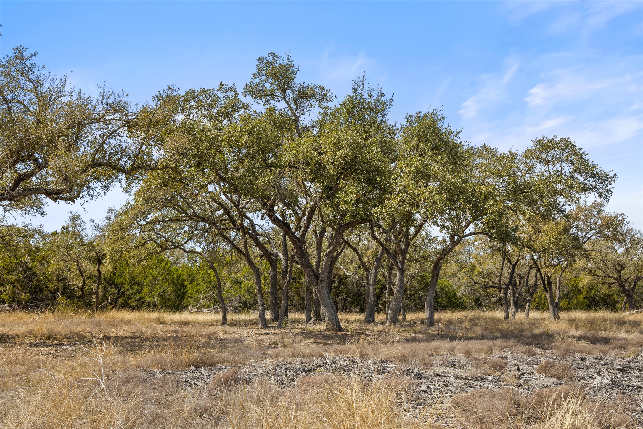 535 Becker Road Johnson City, TX 78636 - Photo 1 of 6 Mature trees grace this spacious lot, offering natural shade and a serene setting.