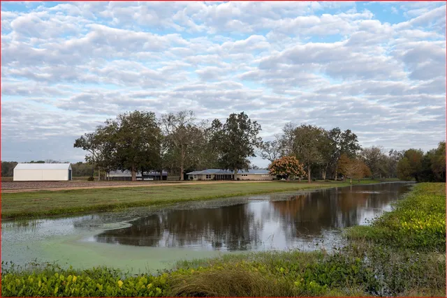 a view of a lake with a house in the background